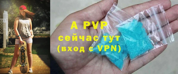 индика Нижневартовск