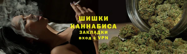 СК Краснослободск